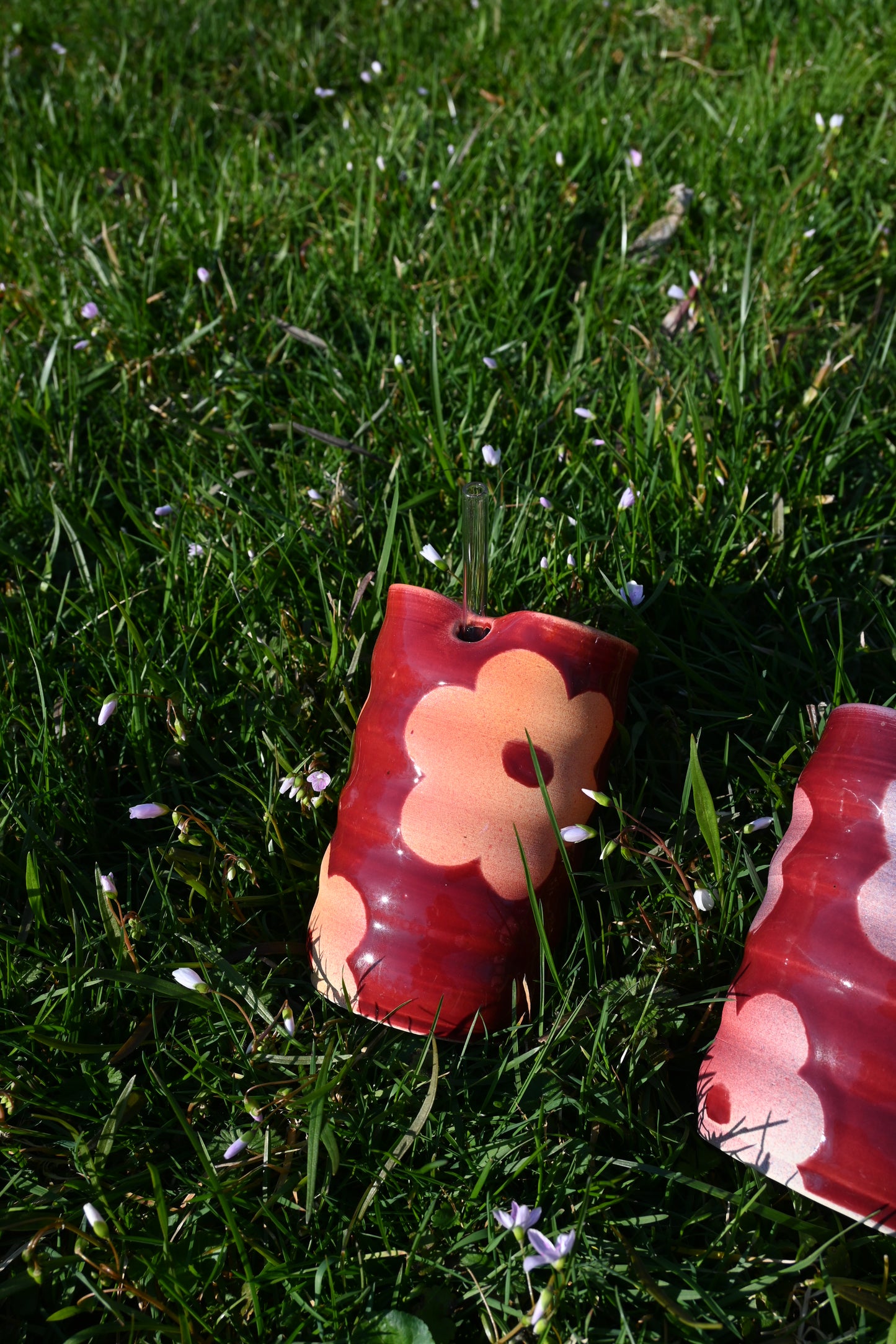 Velvet Daisies Sippy Cups