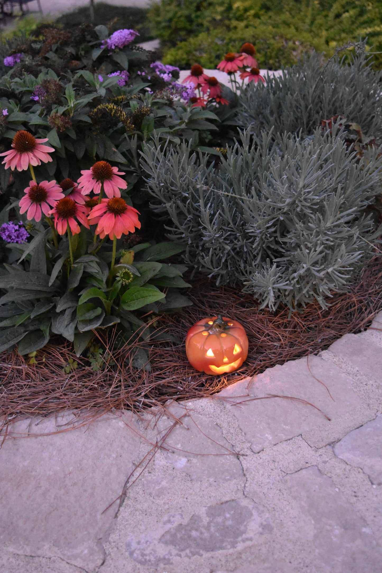 Pumpkin Glowie