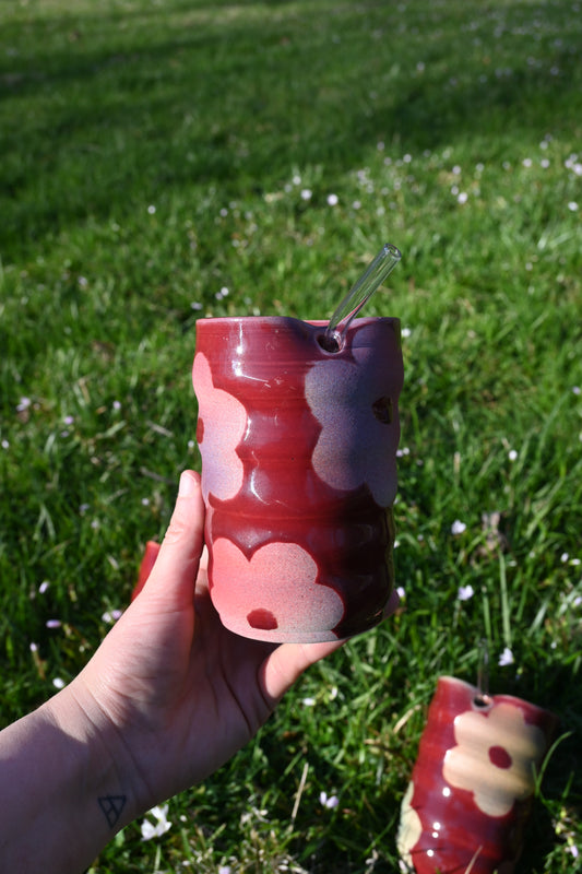 Velvet Daisies Sippy Cups