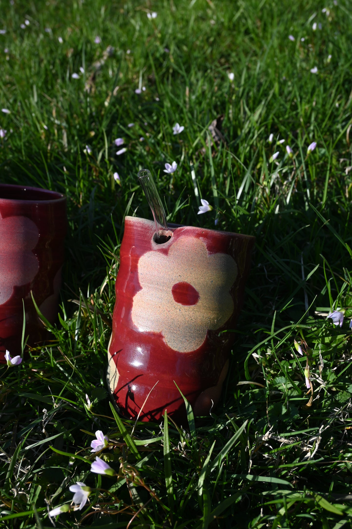 Velvet Daisies Sippy Cups
