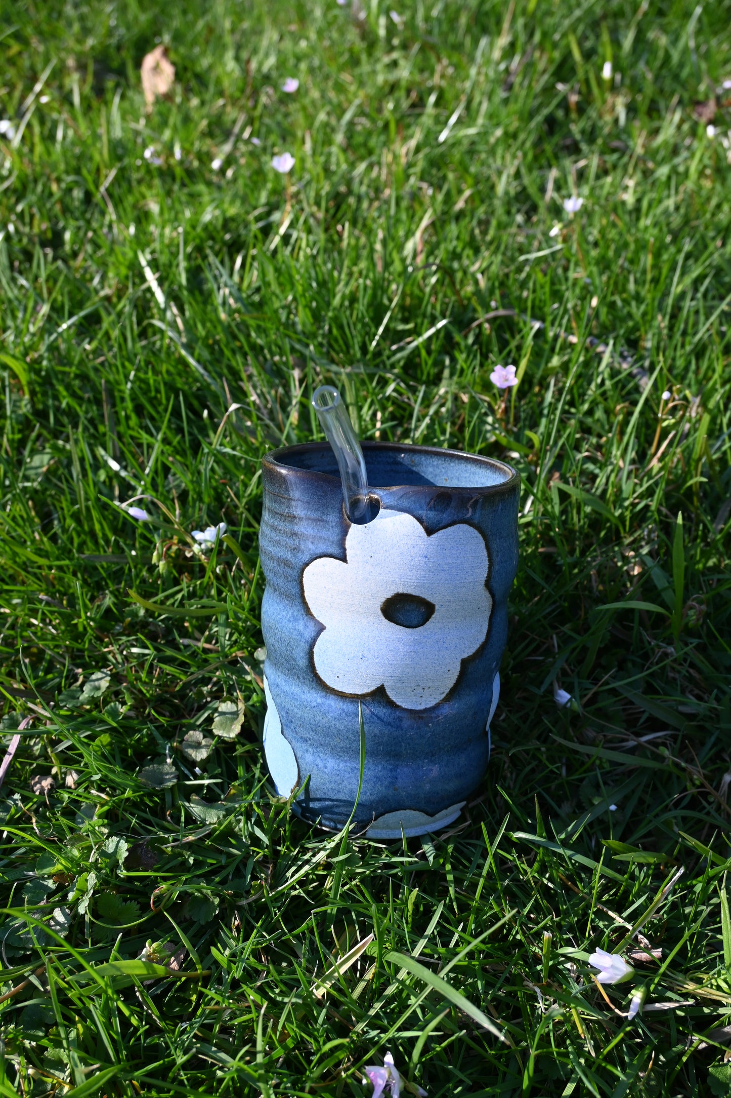 Denim Daisies Sippy Cups
