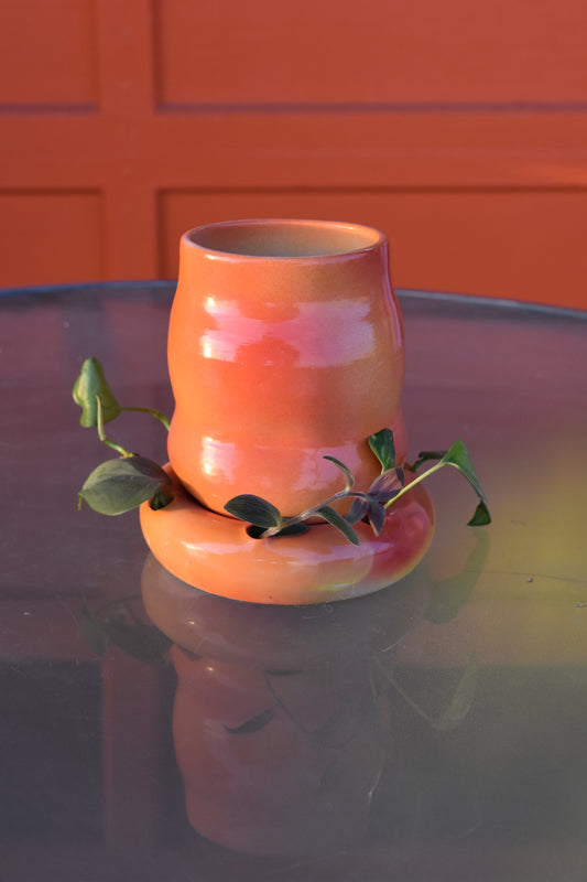Aura Vase and Propagation Station Set