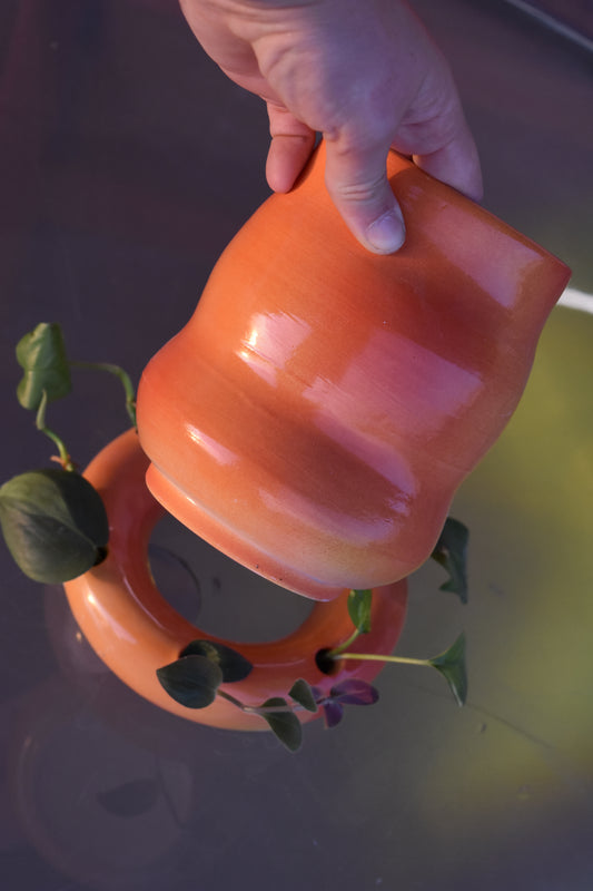Aura Vase and Propagation Station Set
