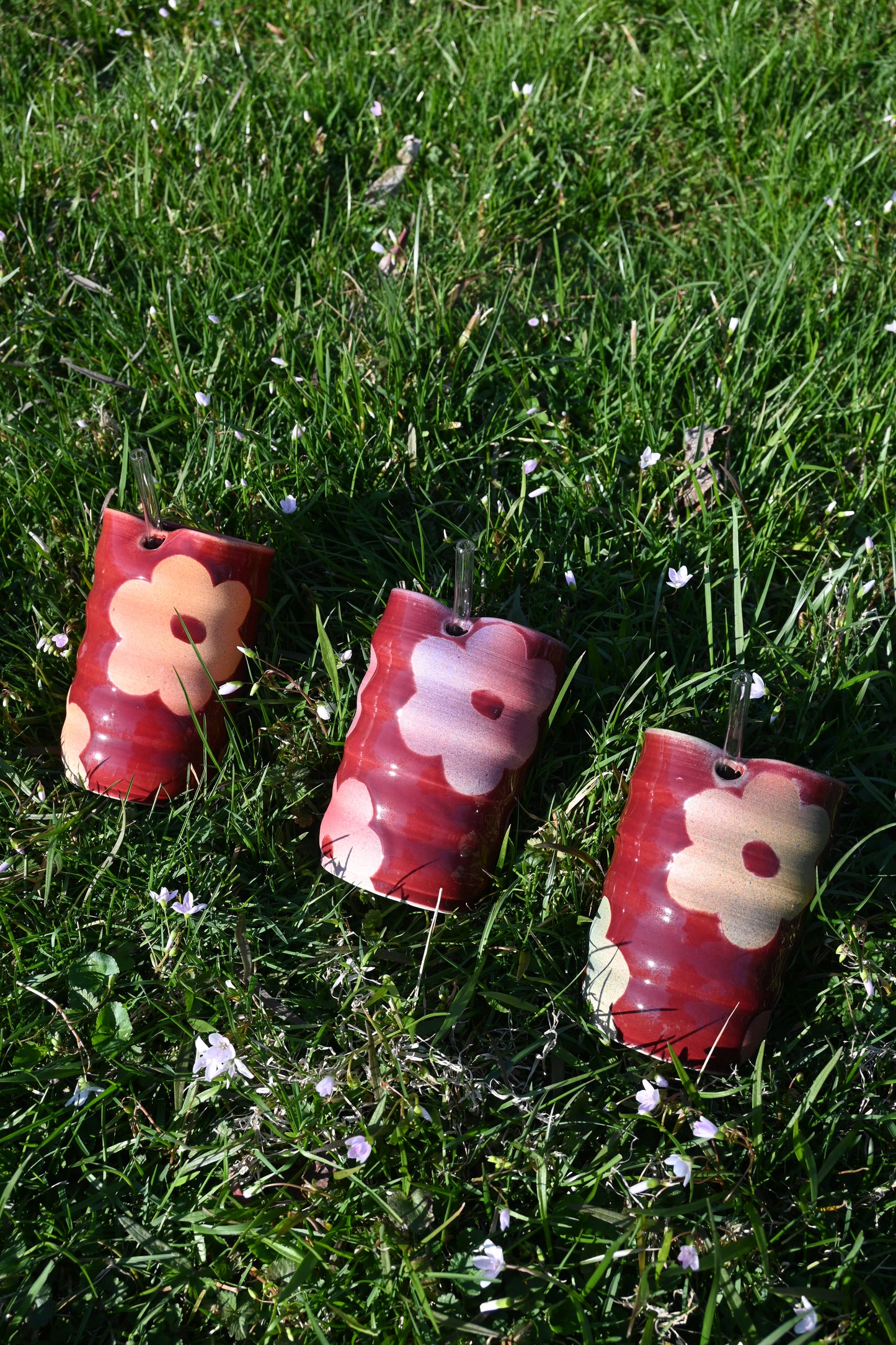 Velvet Daisies Sippy Cups