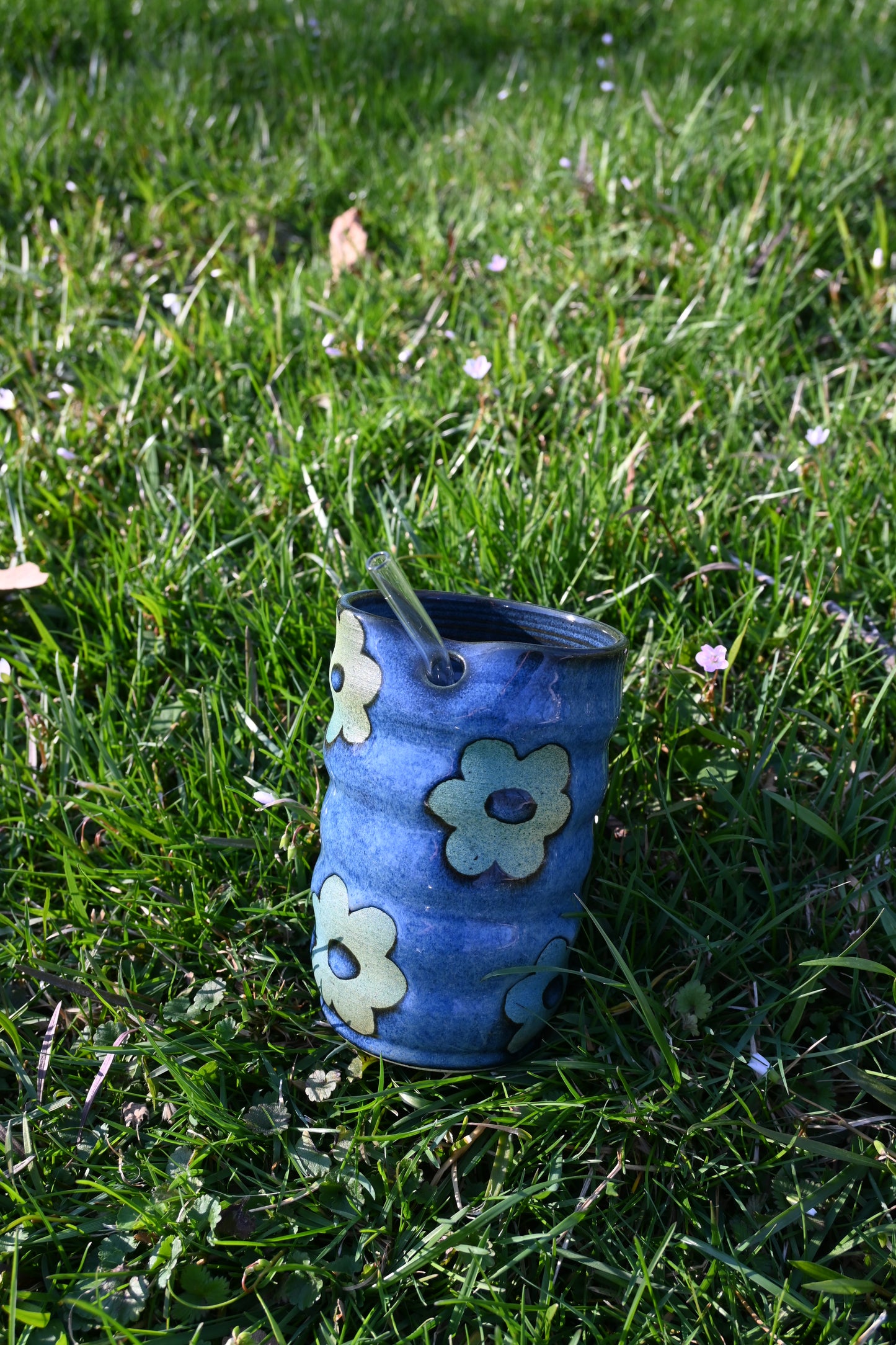 Denim Daisies Sippy Cups